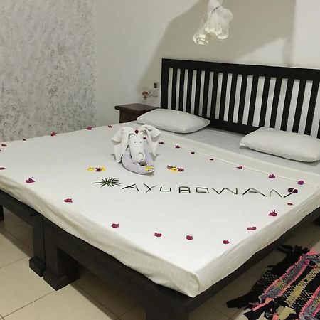 Greenwood Hotel סיגירייה מראה חיצוני תמונה