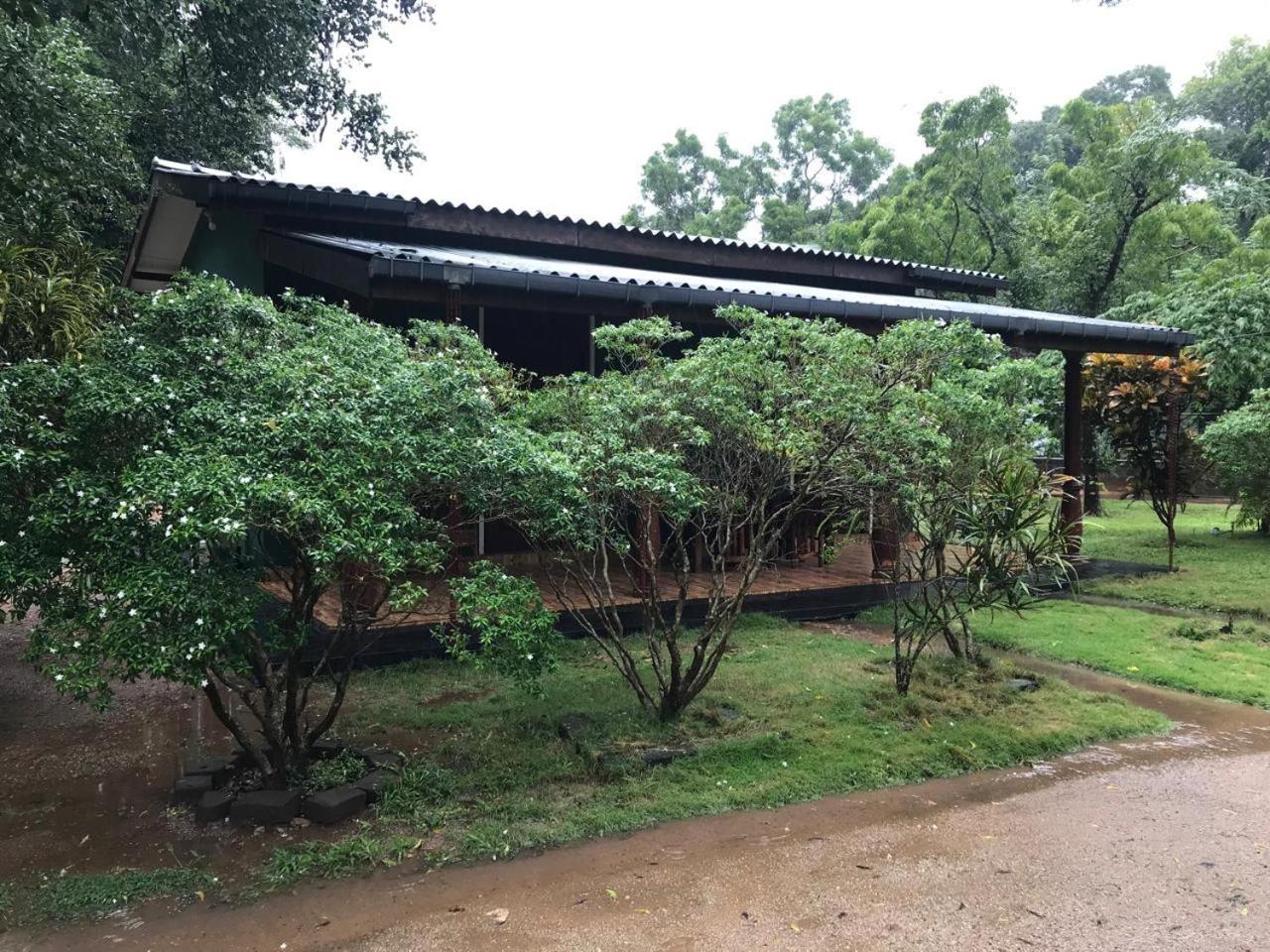 Greenwood Hotel סיגירייה מראה חיצוני תמונה