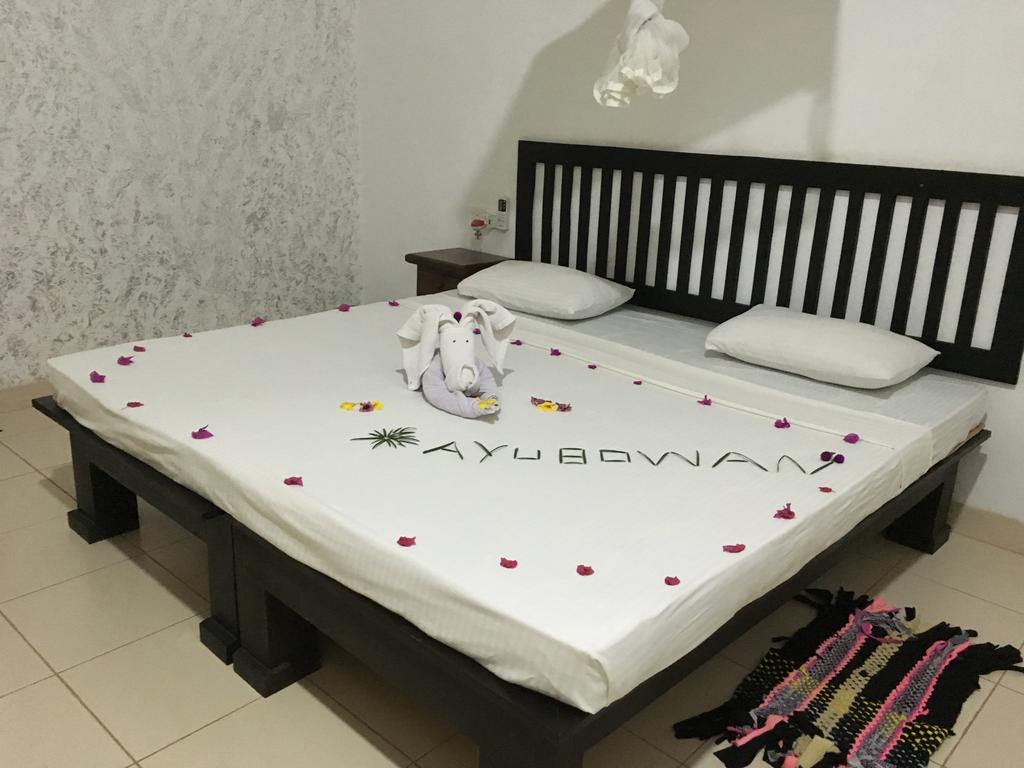 Greenwood Hotel סיגירייה מראה חיצוני תמונה